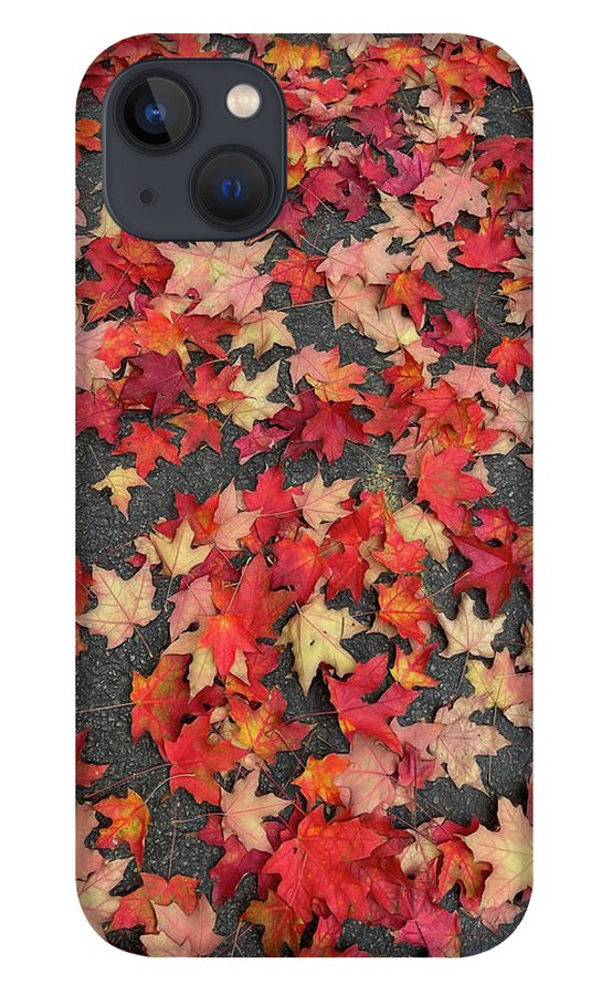 Maple Leaves In October 1 - Phone Case