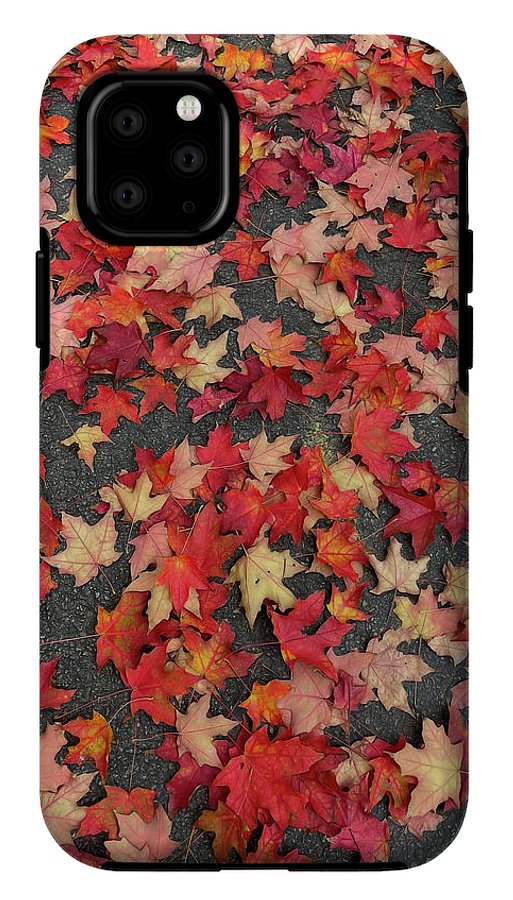 Maple Leaves In October 1 - Phone Case