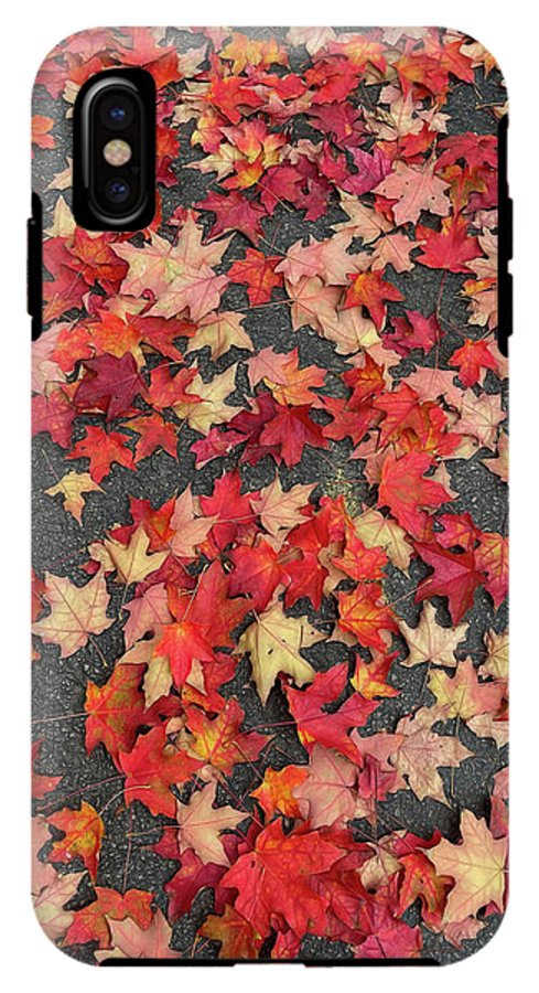 Maple Leaves In October 1 - Phone Case