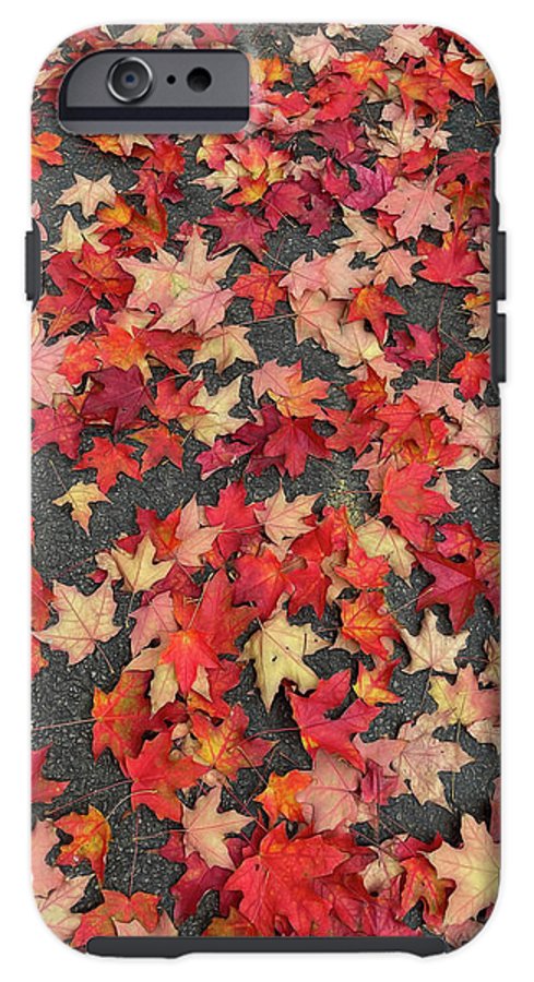 Maple Leaves In October 1 - Phone Case
