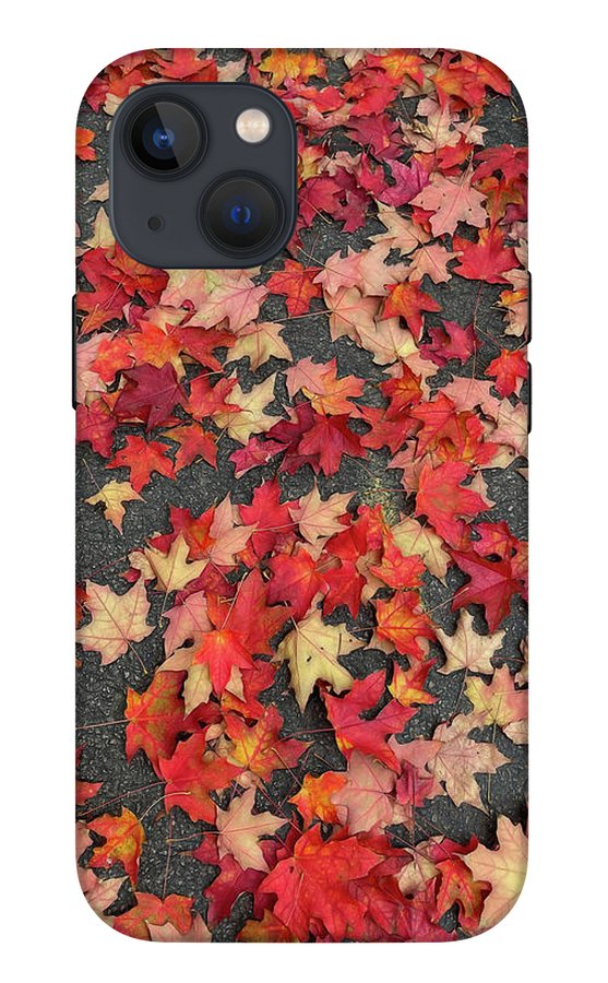 Maple Leaves In October 1 - Phone Case