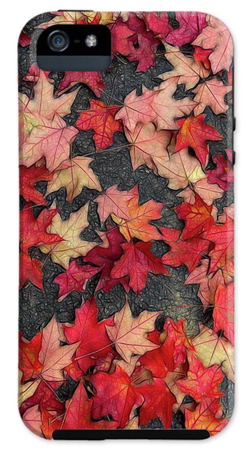 Maple Leaves In October 2 - Phone Case