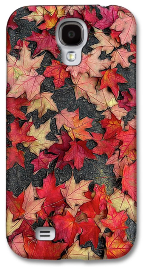 Maple Leaves In October 2 - Phone Case