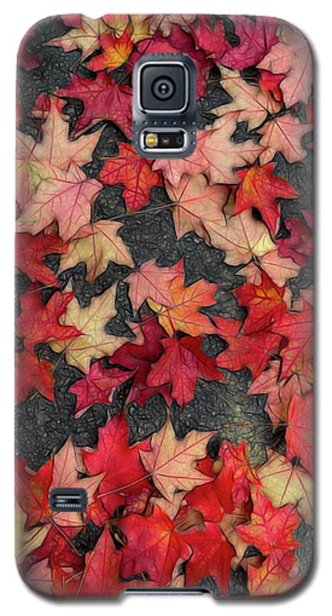 Maple Leaves In October 2 - Phone Case
