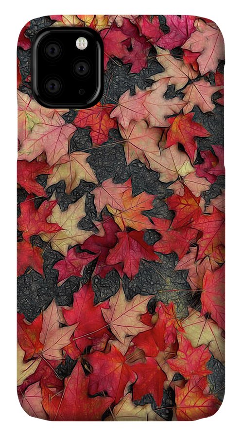 Maple Leaves In October 2 - Phone Case