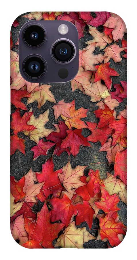 Maple Leaves In October 2 - Phone Case