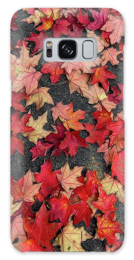 Maple Leaves In October 2 - Phone Case