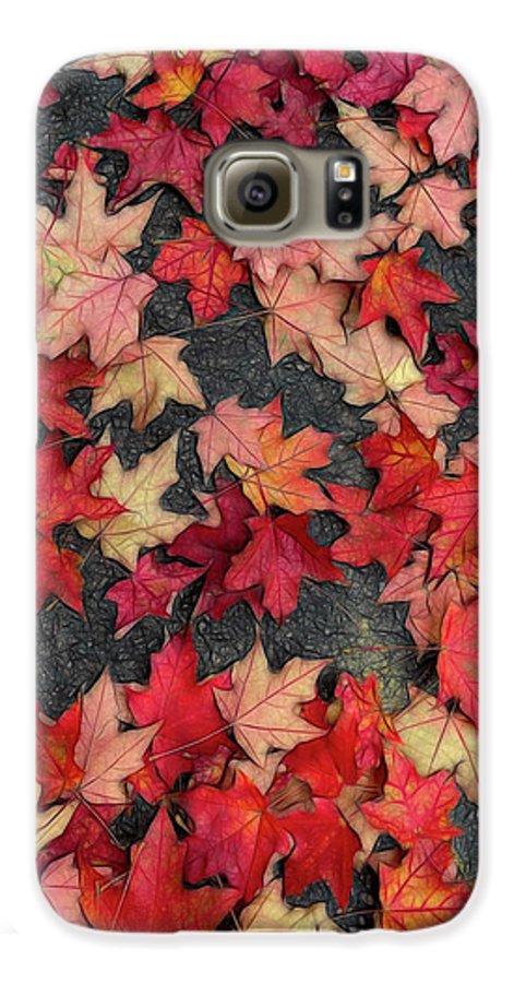 Maple Leaves In October 2 - Phone Case