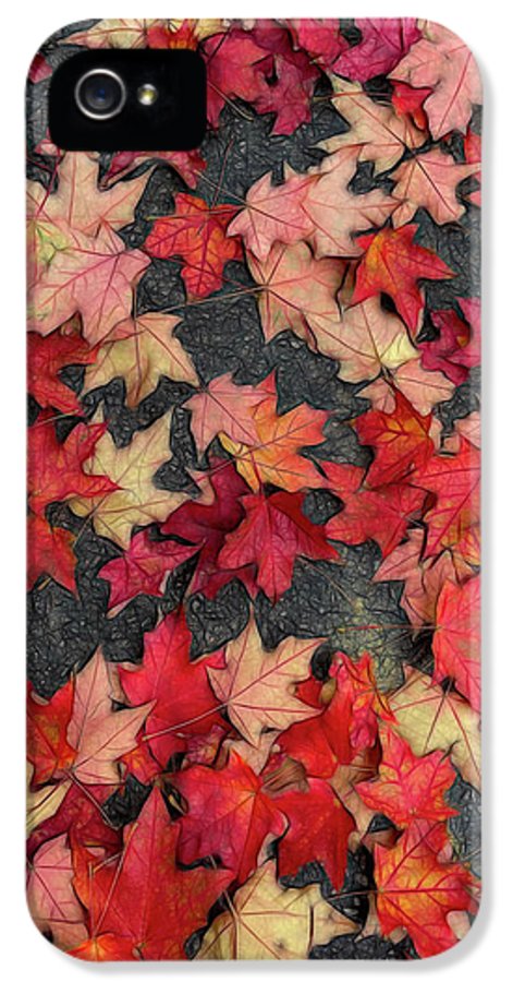 Maple Leaves In October 2 - Phone Case