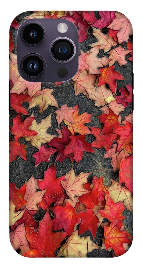 Maple Leaves In October 2 - Phone Case