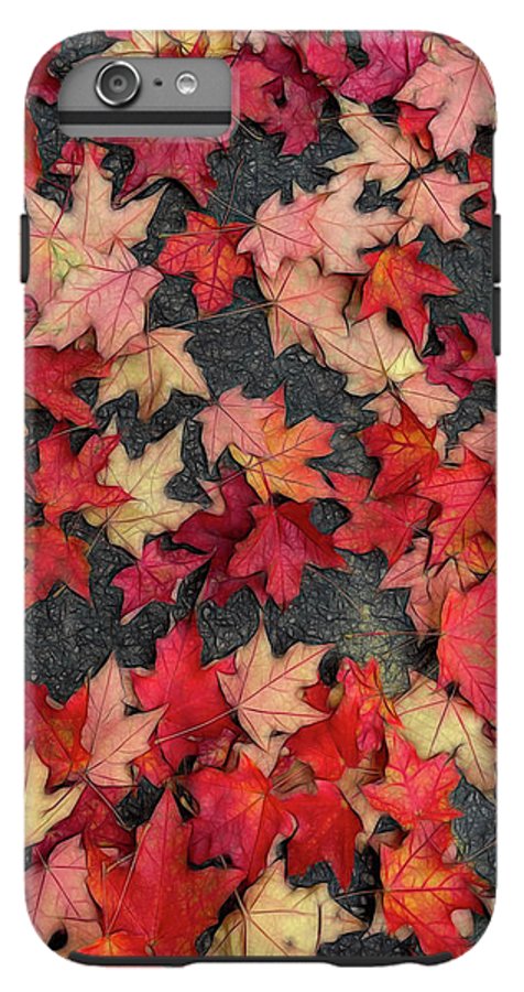 Maple Leaves In October 2 - Phone Case