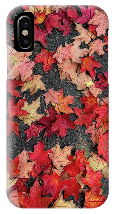 Maple Leaves In October 2 - Phone Case
