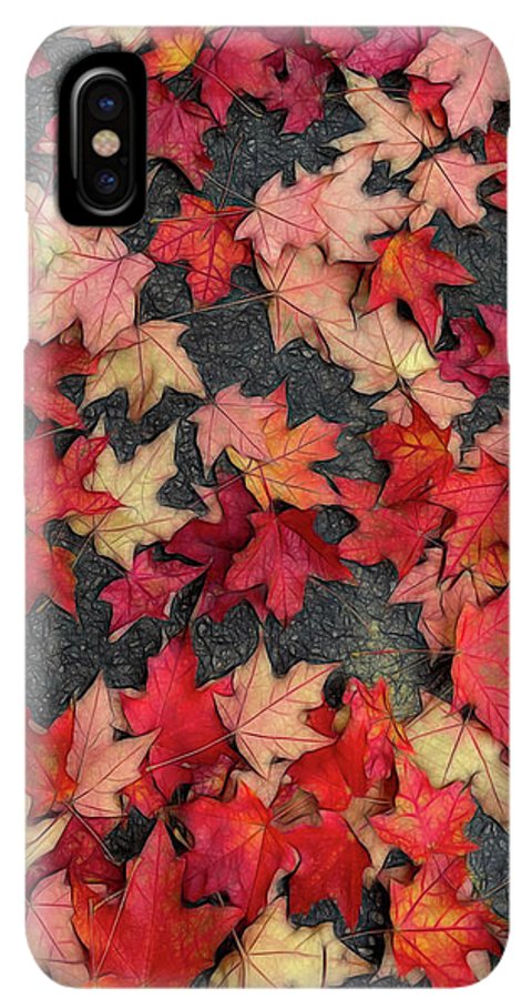 Maple Leaves In October 2 - Phone Case