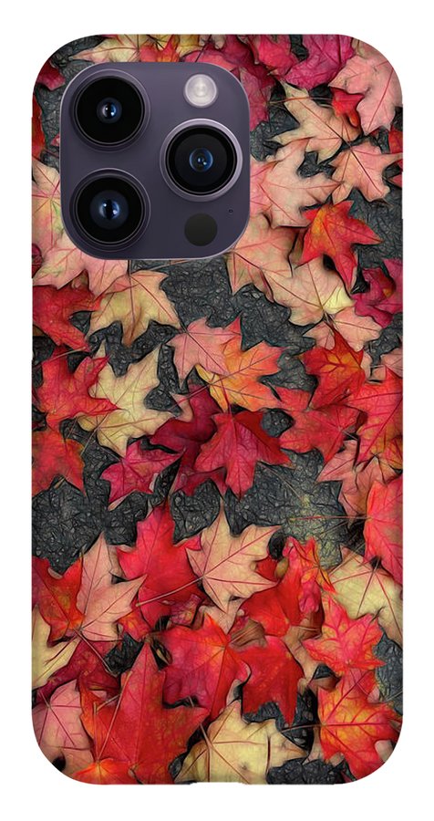 Maple Leaves In October 2 - Phone Case