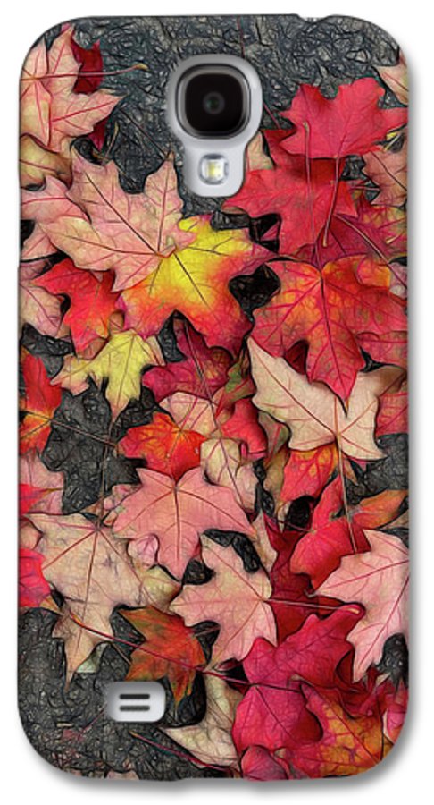 Maple Leaves In October 3 - Phone Case