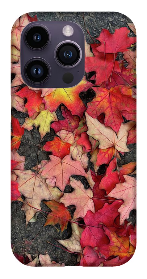 Maple Leaves In October 3 - Phone Case
