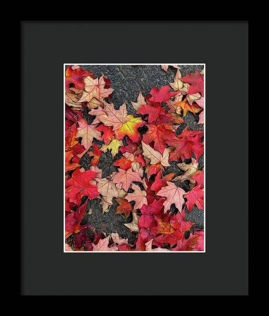 Maple Leaves In October 3 - Framed Print