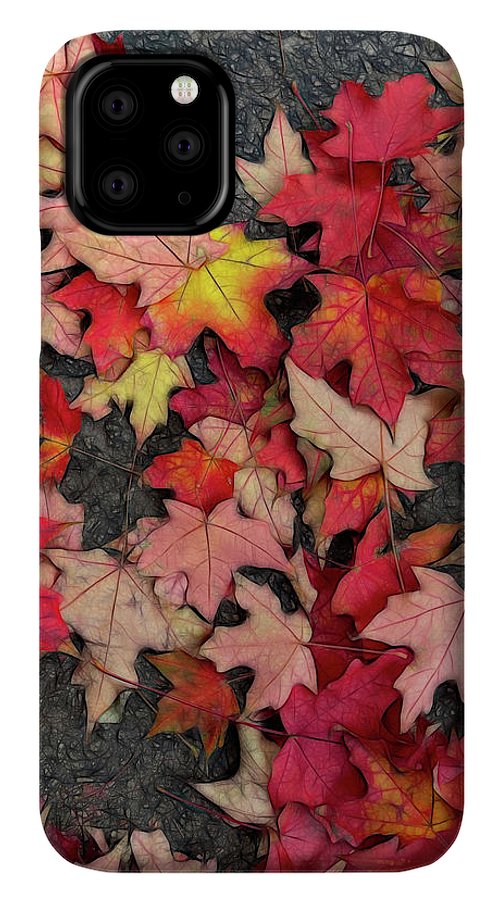 Maple Leaves In October 3 - Phone Case
