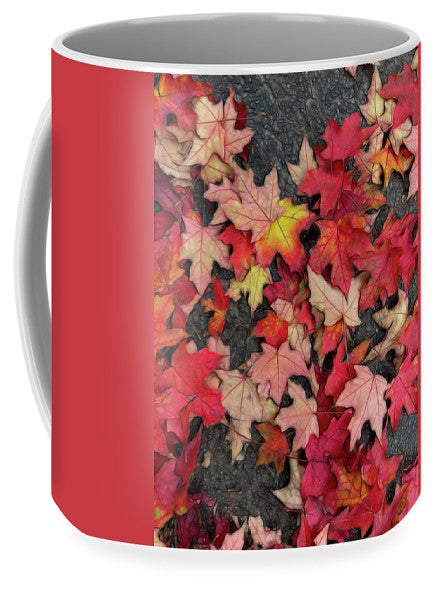 Maple Leaves In October 3 - Mug