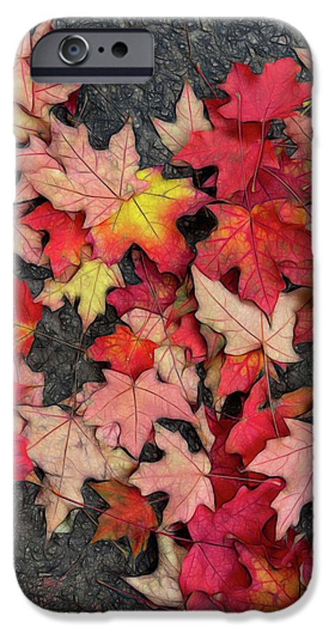 Maple Leaves In October 3 - Phone Case