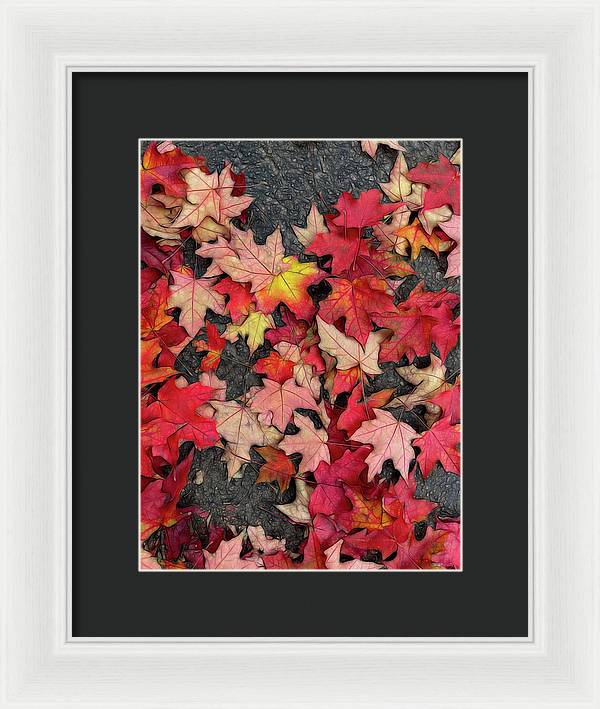 Maple Leaves In October 3 - Framed Print