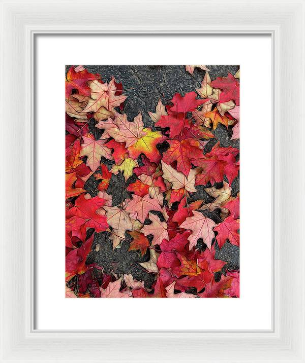 Maple Leaves In October 3 - Framed Print