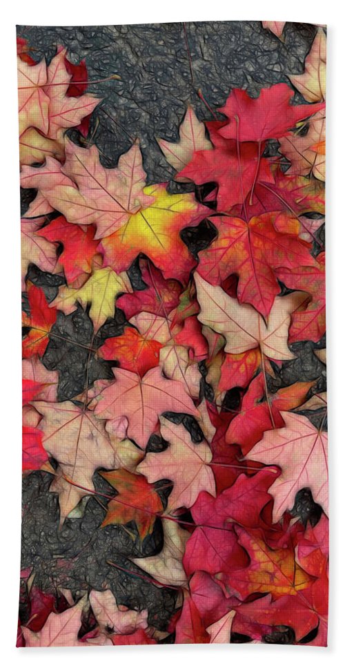 Maple Leaves In October 3 - Beach Towel