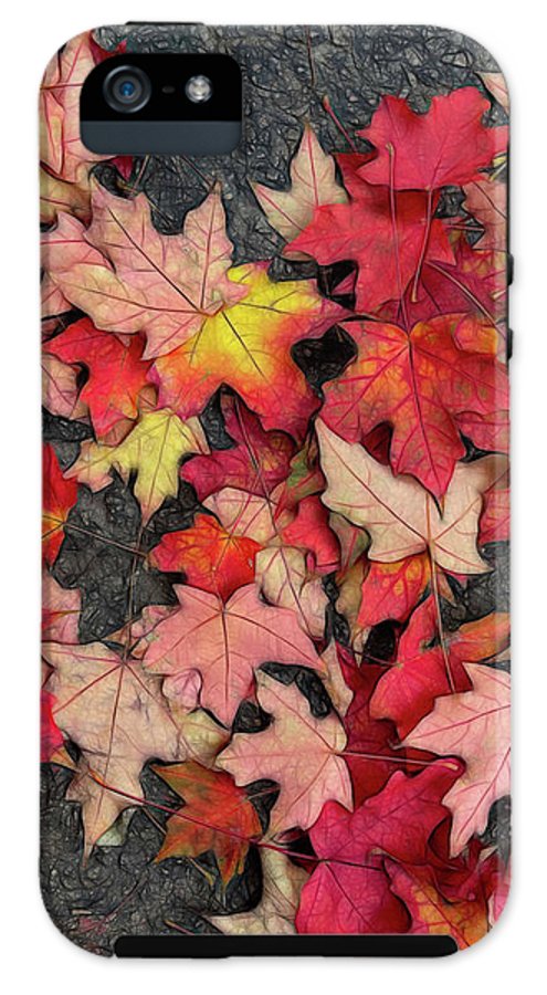 Maple Leaves In October 3 - Phone Case