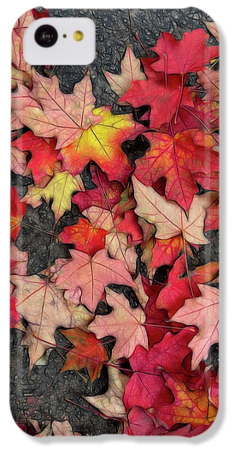 Maple Leaves In October 3 - Phone Case