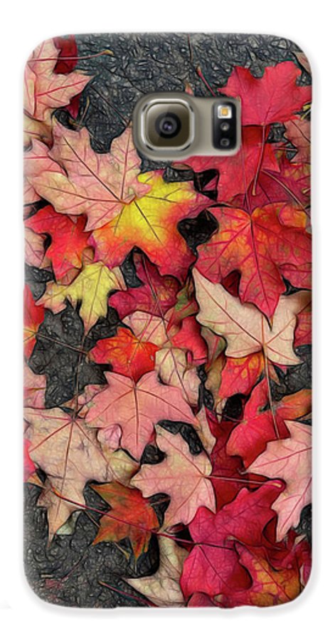 Maple Leaves In October 3 - Phone Case