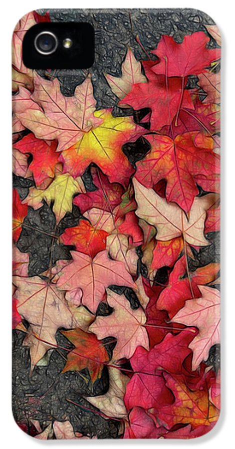 Maple Leaves In October 3 - Phone Case