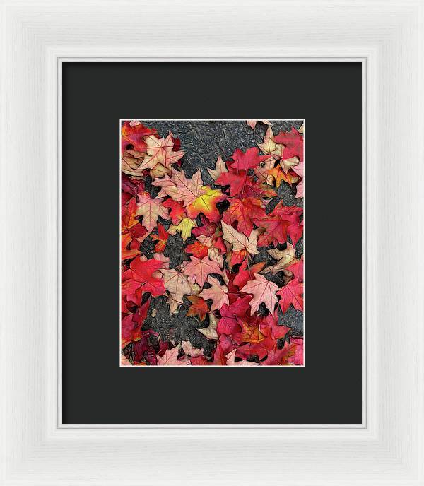 Maple Leaves In October 3 - Framed Print