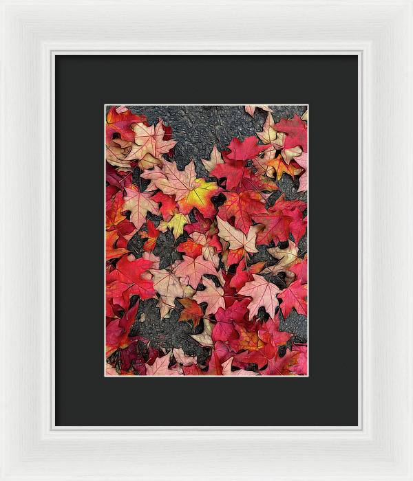 Maple Leaves In October 3 - Framed Print