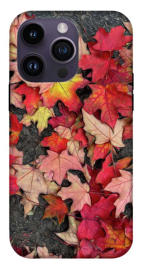 Maple Leaves In October 3 - Phone Case