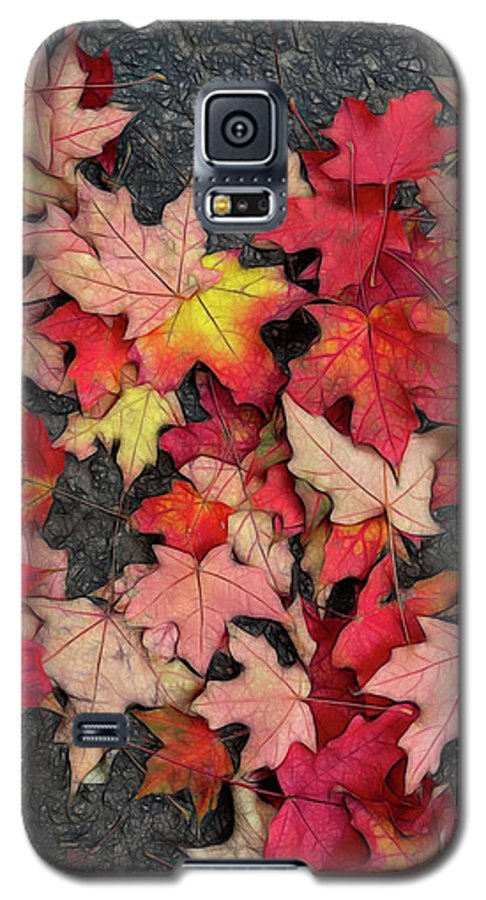 Maple Leaves In October 3 - Phone Case