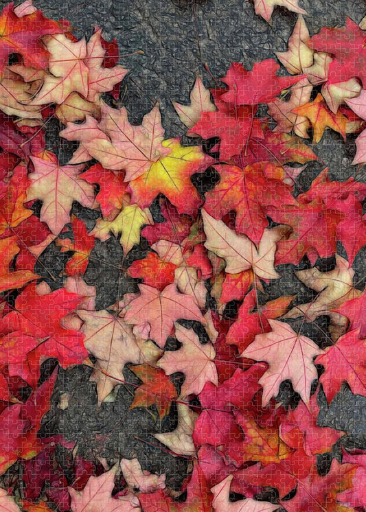 Maple Leaves In October 3 - Puzzle