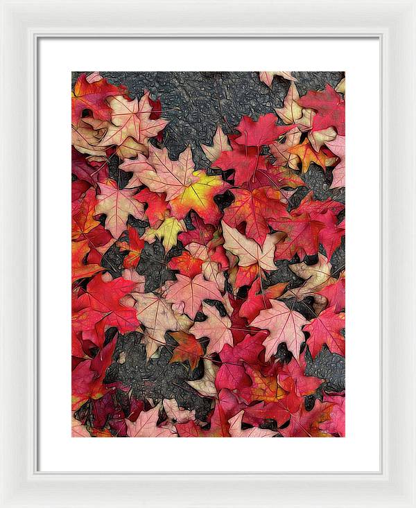 Maple Leaves In October 3 - Framed Print