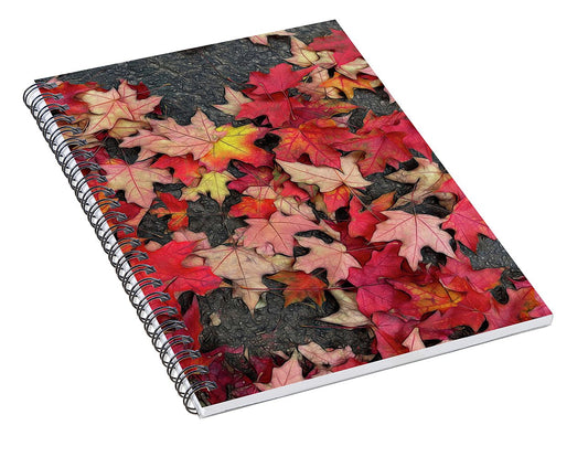 Maple Leaves In October 3 - Spiral Notebook