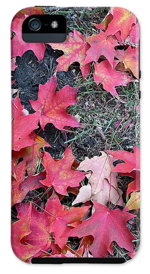 Maple Leaves In October 4 - Phone Case