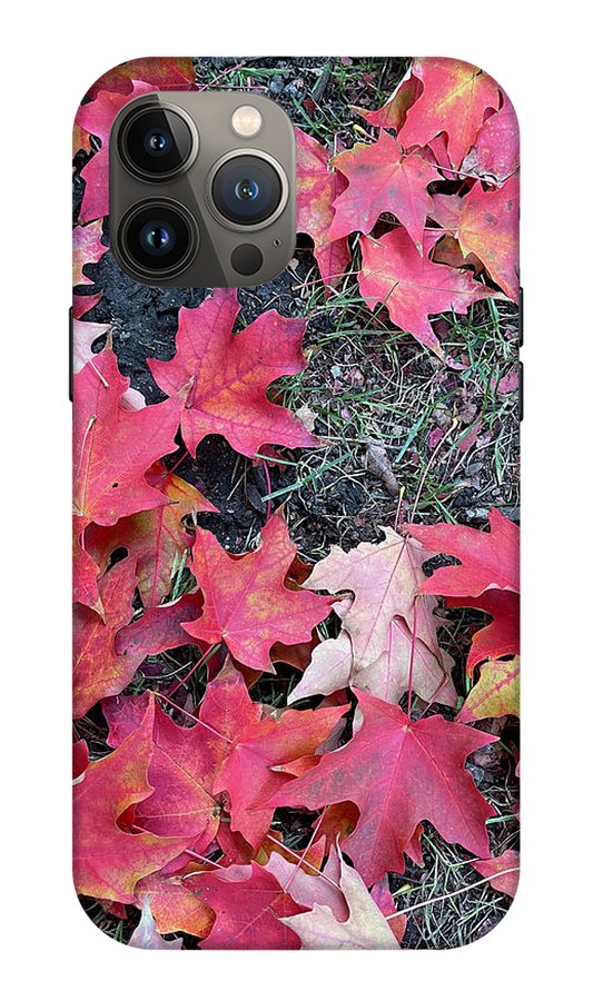 Maple Leaves In October 4 - Phone Case