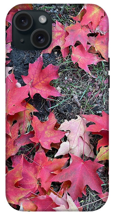 Maple Leaves In October 4 - Phone Case