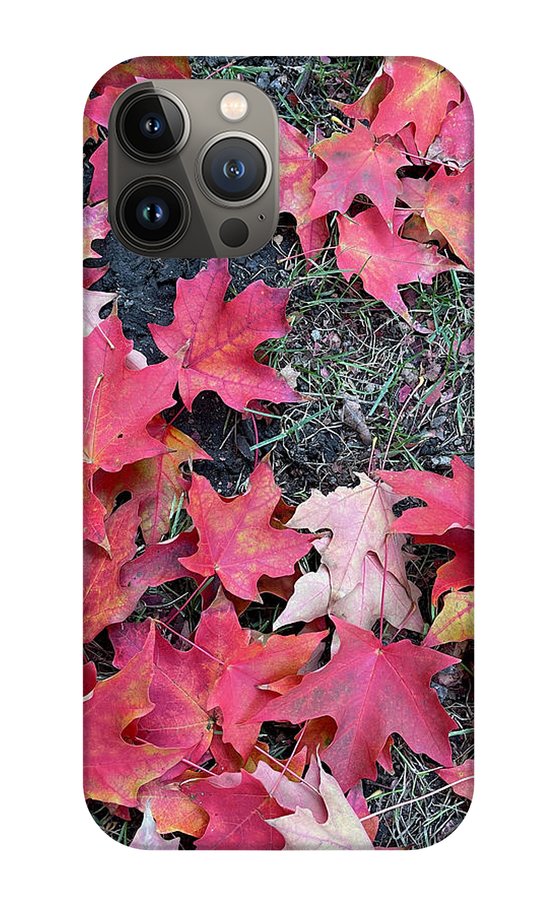 Maple Leaves In October 4 - Phone Case
