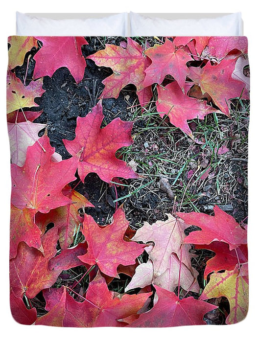 Maple Leaves In October 4 - Duvet Cover