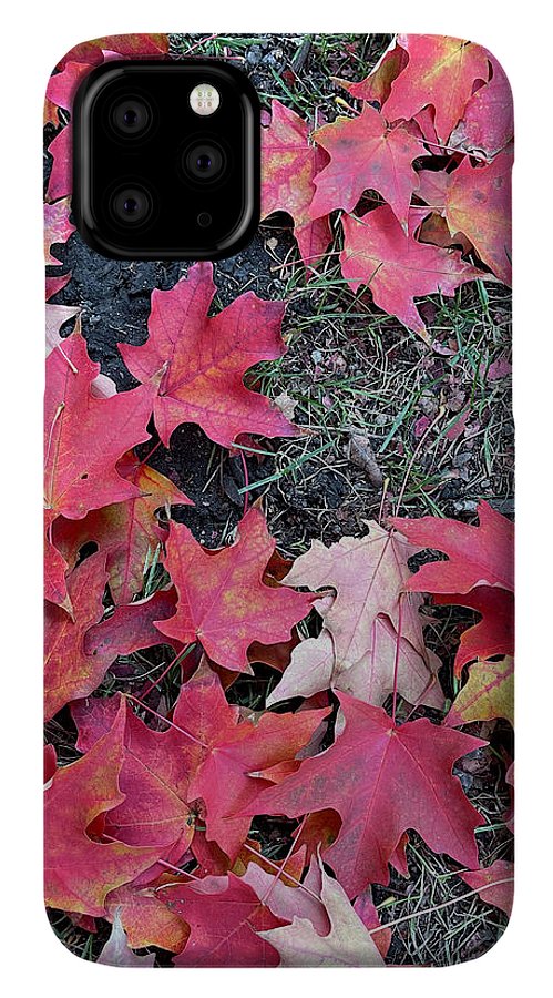 Maple Leaves In October 4 - Phone Case