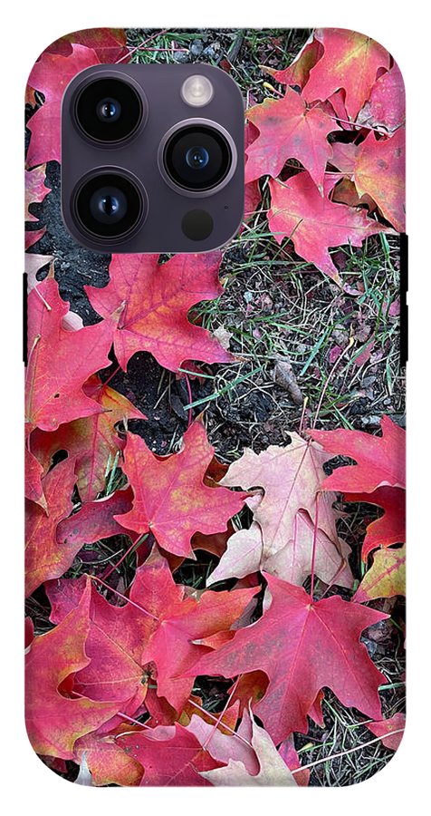 Maple Leaves In October 4 - Phone Case