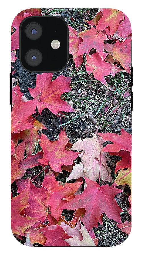 Maple Leaves In October 4 - Phone Case