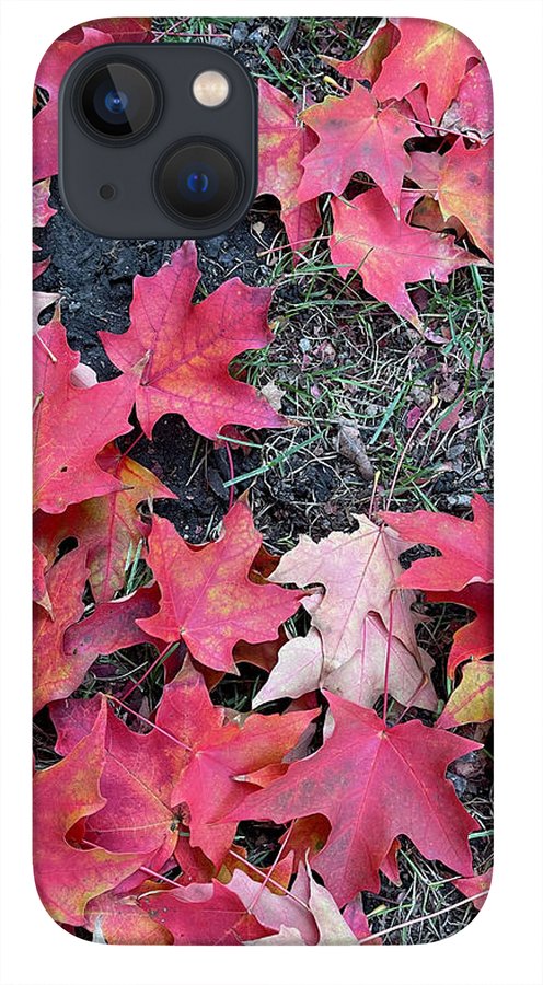 Maple Leaves In October 4 - Phone Case