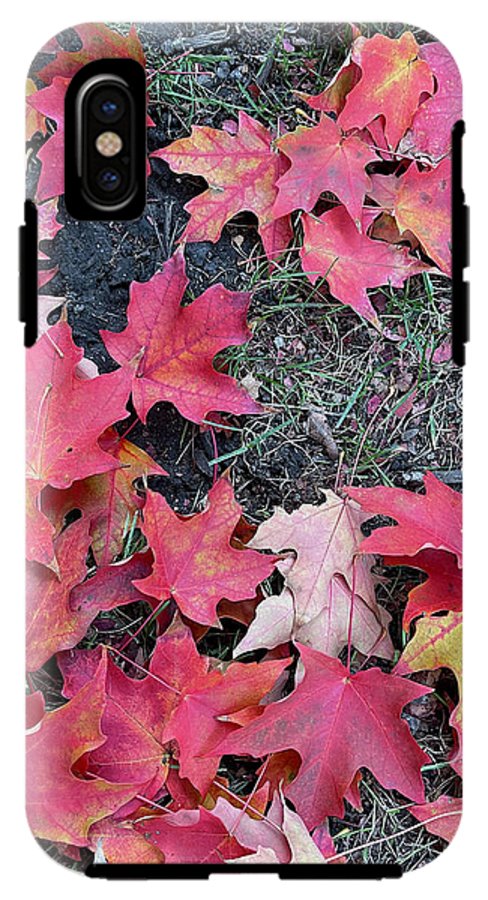 Maple Leaves In October 4 - Phone Case