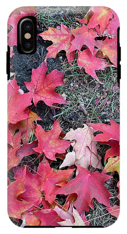 Maple Leaves In October 4 - Phone Case