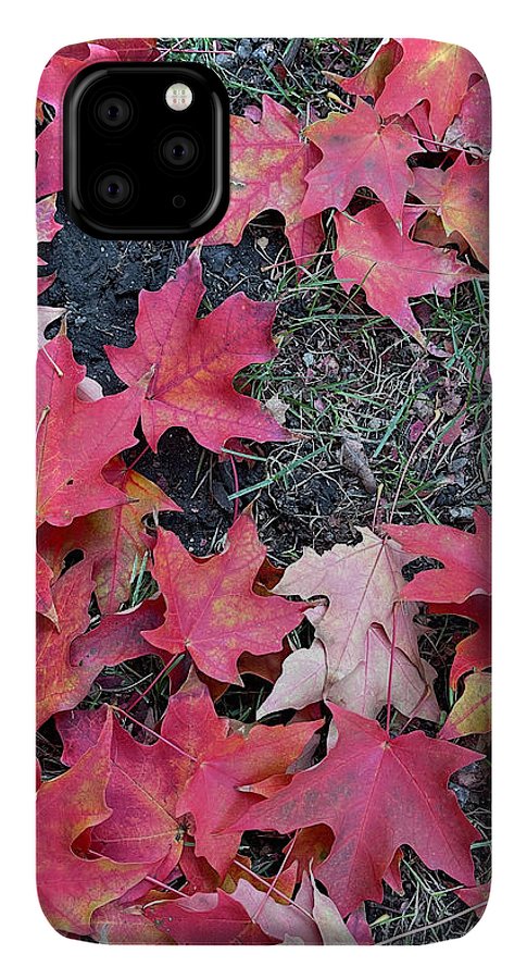 Maple Leaves In October 4 - Phone Case